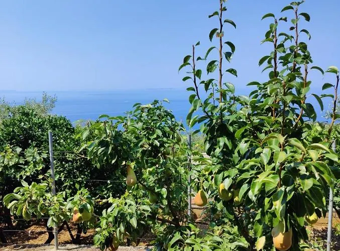 Daire Amazing View At Kroi I Gjine, *